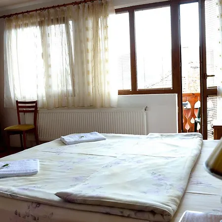 Mavrudieva